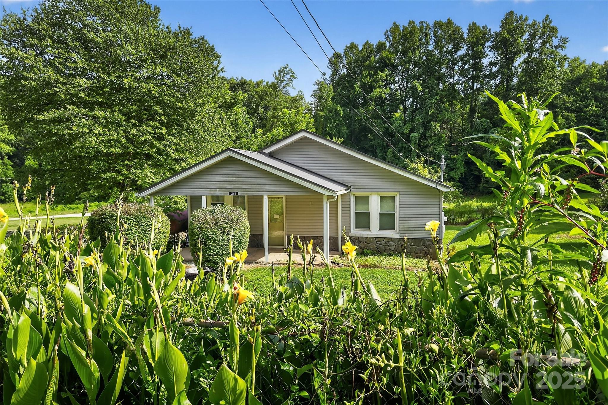 341 Mashburn Branch Old Fort NC 28762