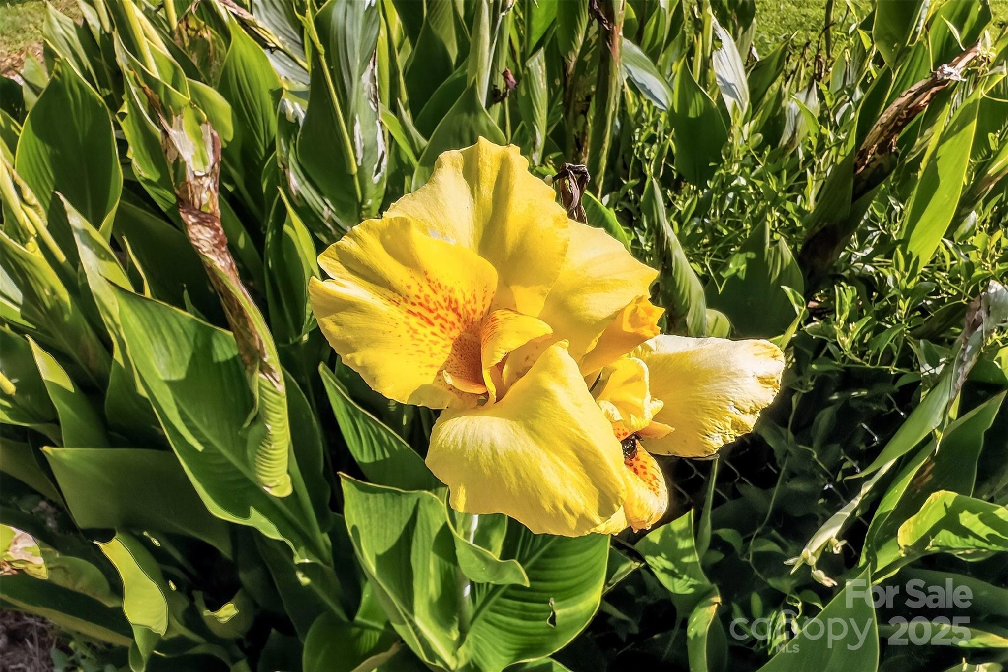 341 Mashburn Branch Old Fort NC 28762