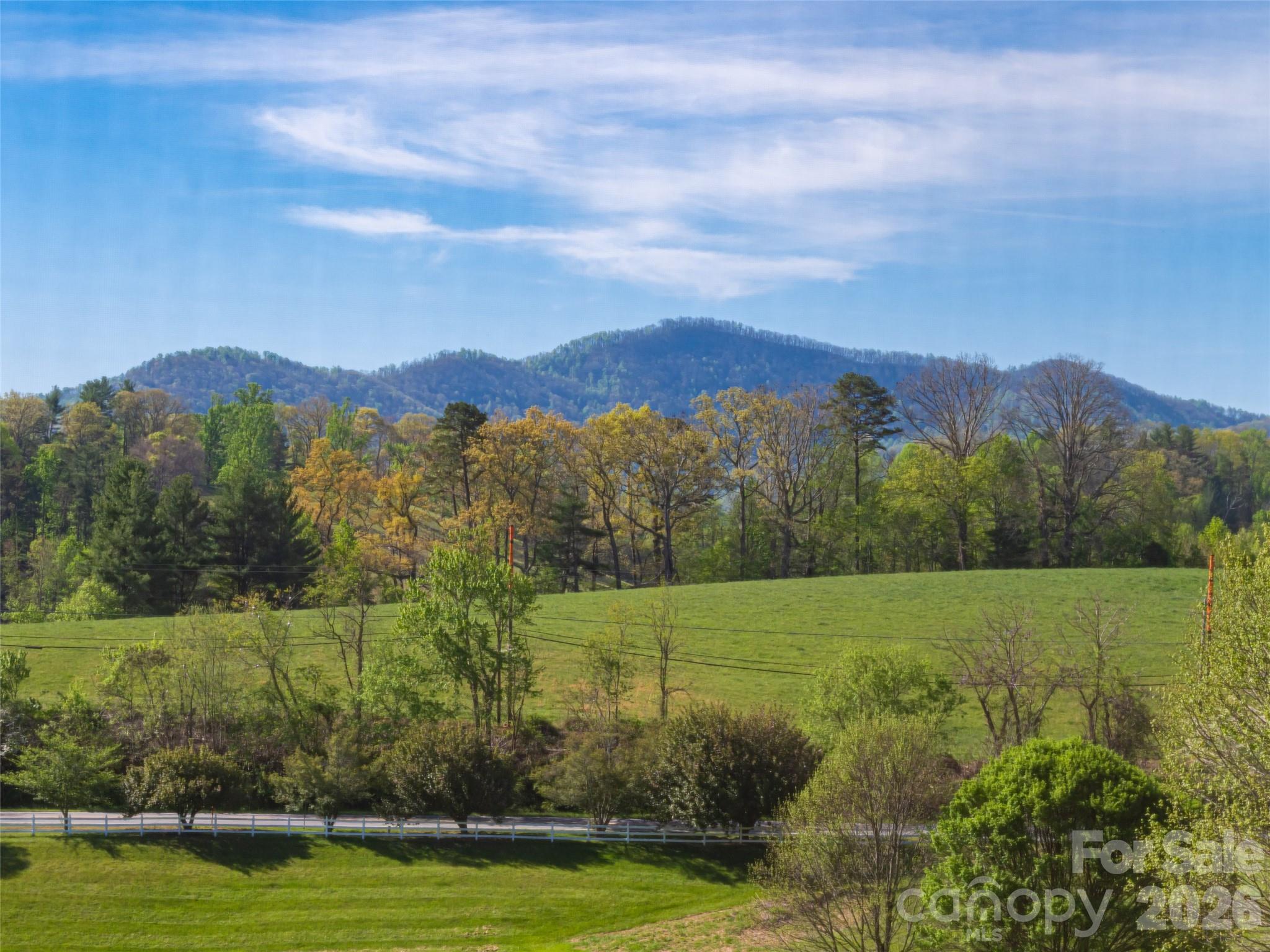 17 Dreambird Drive Leicester NC 28748