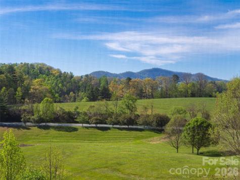 17 Dreambird Drive Leicester NC 28748