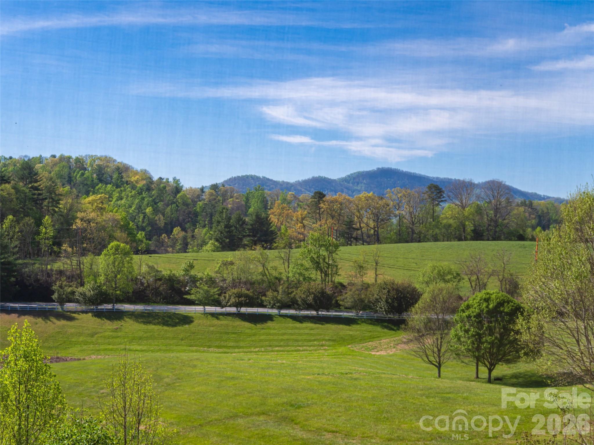 17 Dreambird Drive Leicester NC 28748