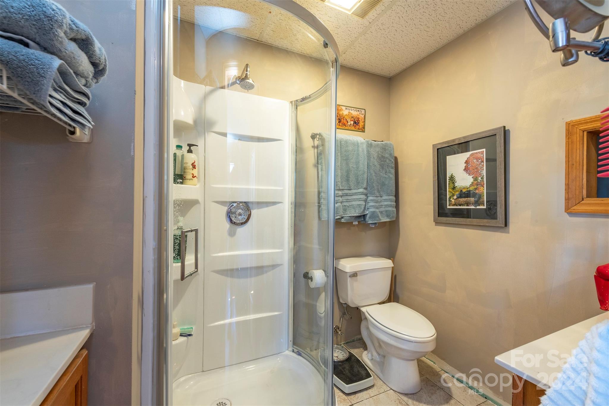 36 Randall Drive Fairview NC 28730