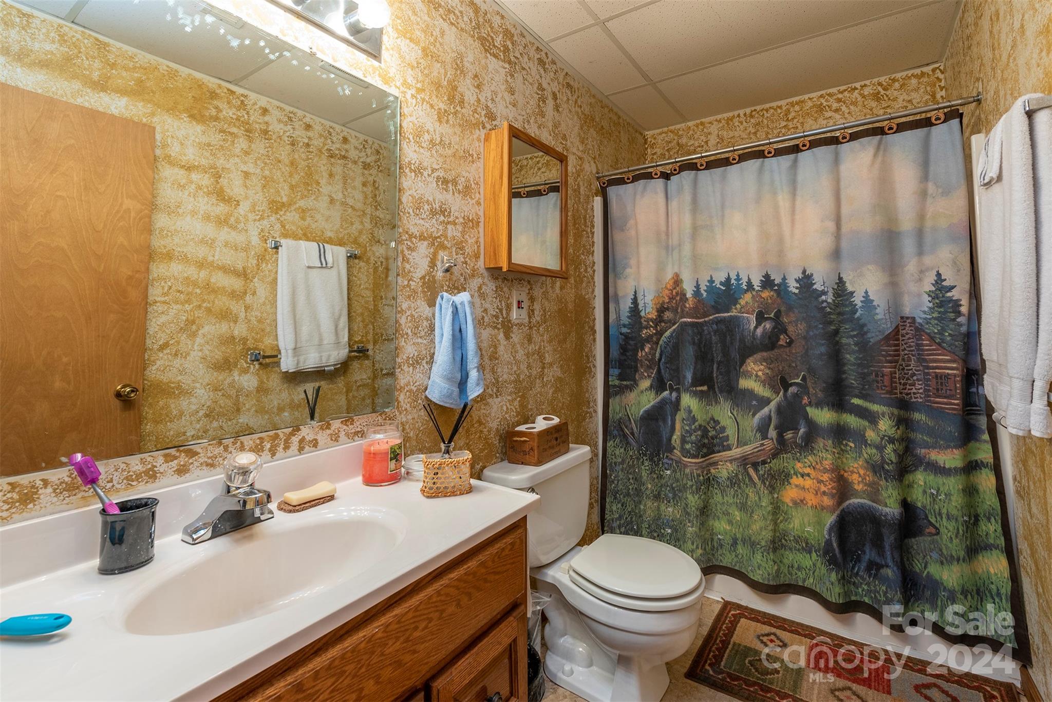 36 Randall Drive Fairview NC 28730