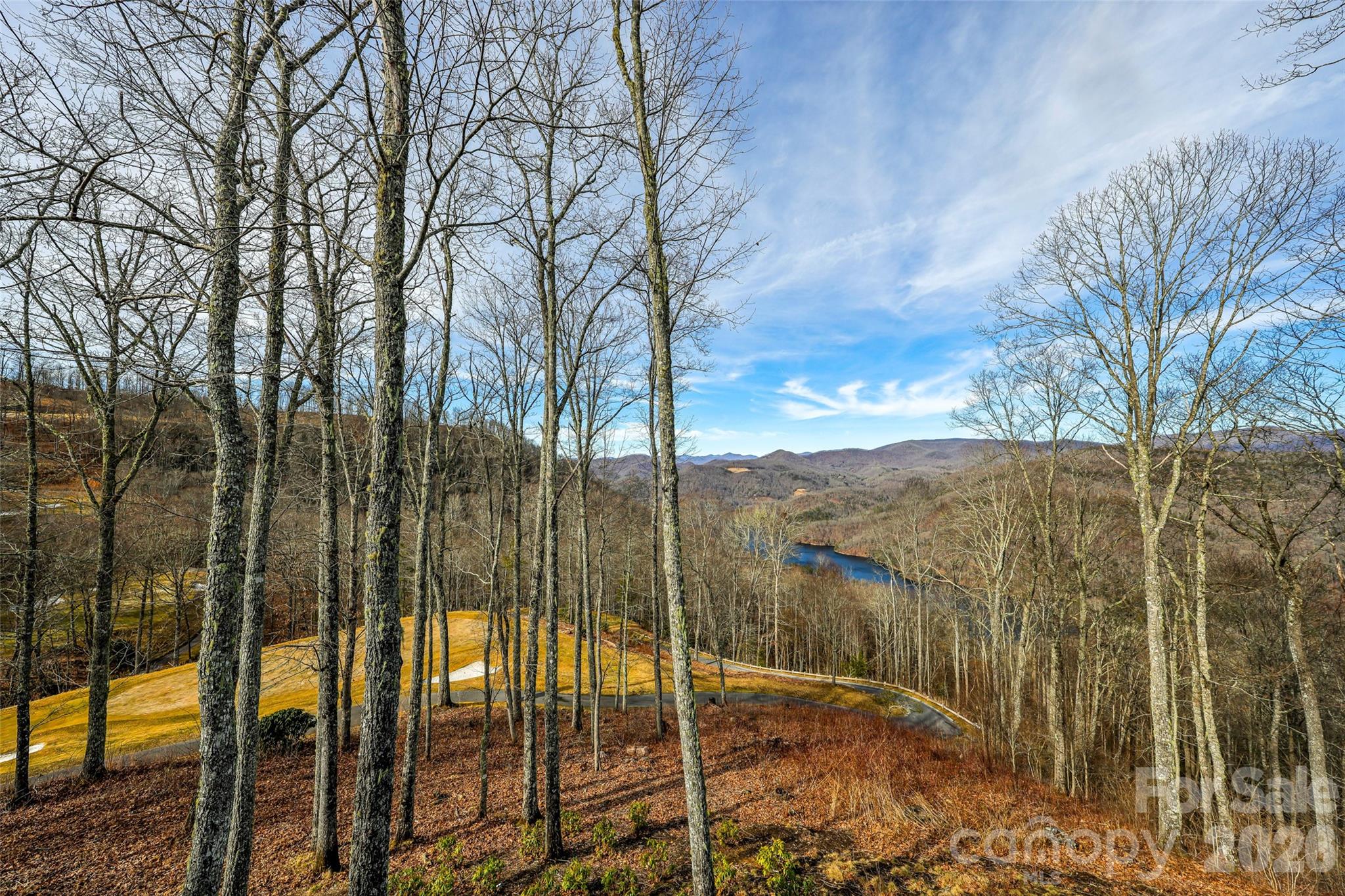 1839 Grandview Drive Tuckasegee NC 28783