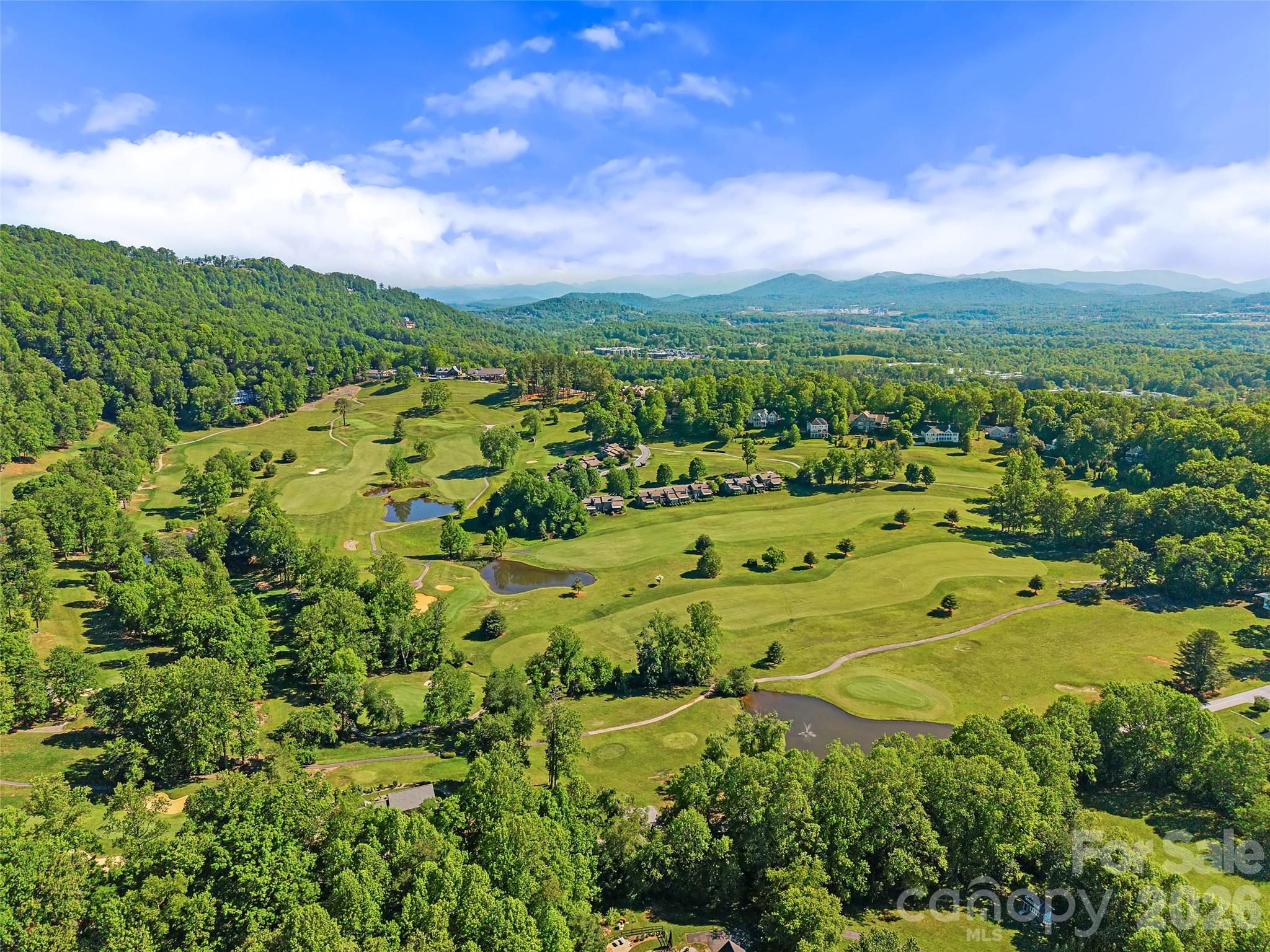 58 Poplar Drive Mills River NC 28759