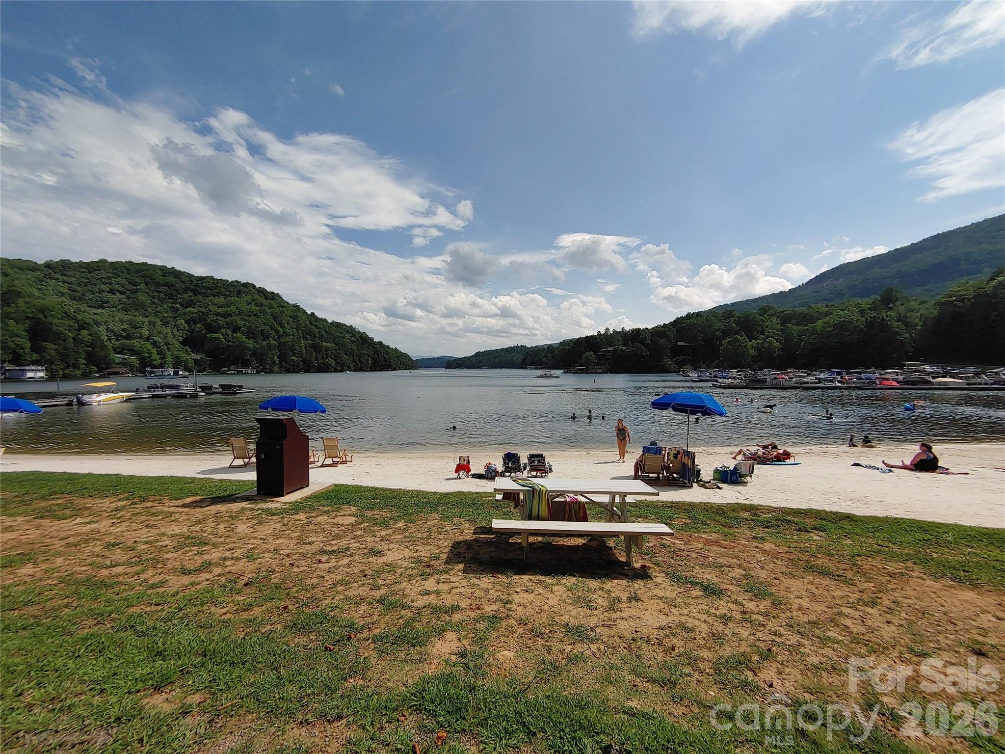 225 Sheepnose Drive Lake Lure NC 28746