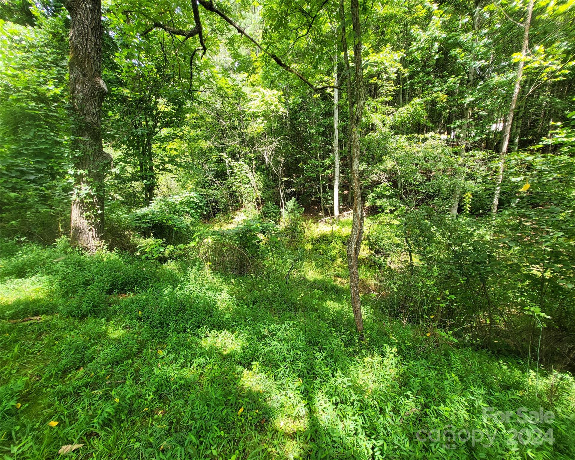 2086 Walnut Hollow Road Brevard NC 28712