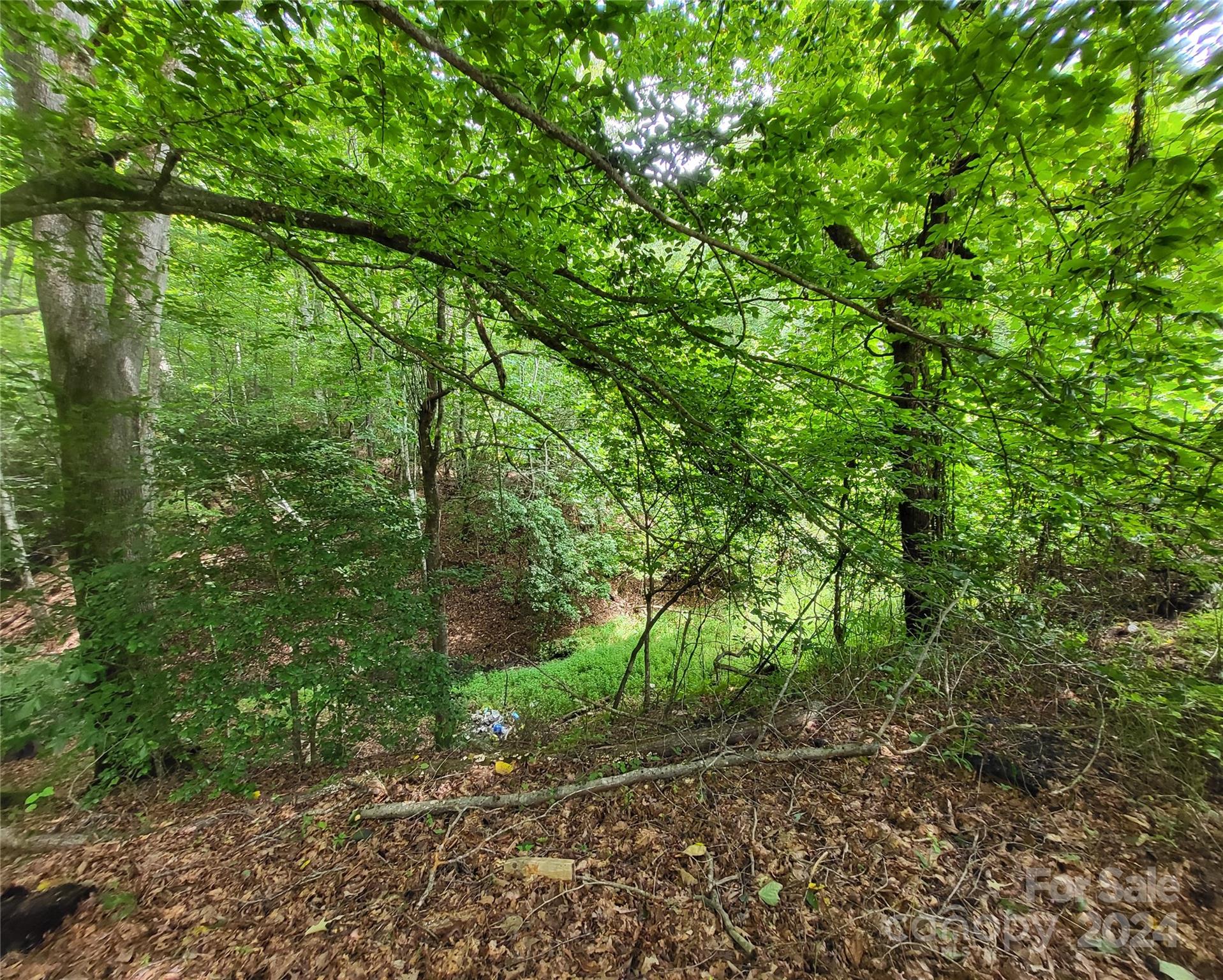 2086 Walnut Hollow Road Brevard NC 28712