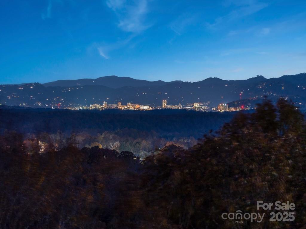 222 Secluded Hills Lane Arden NC 28704