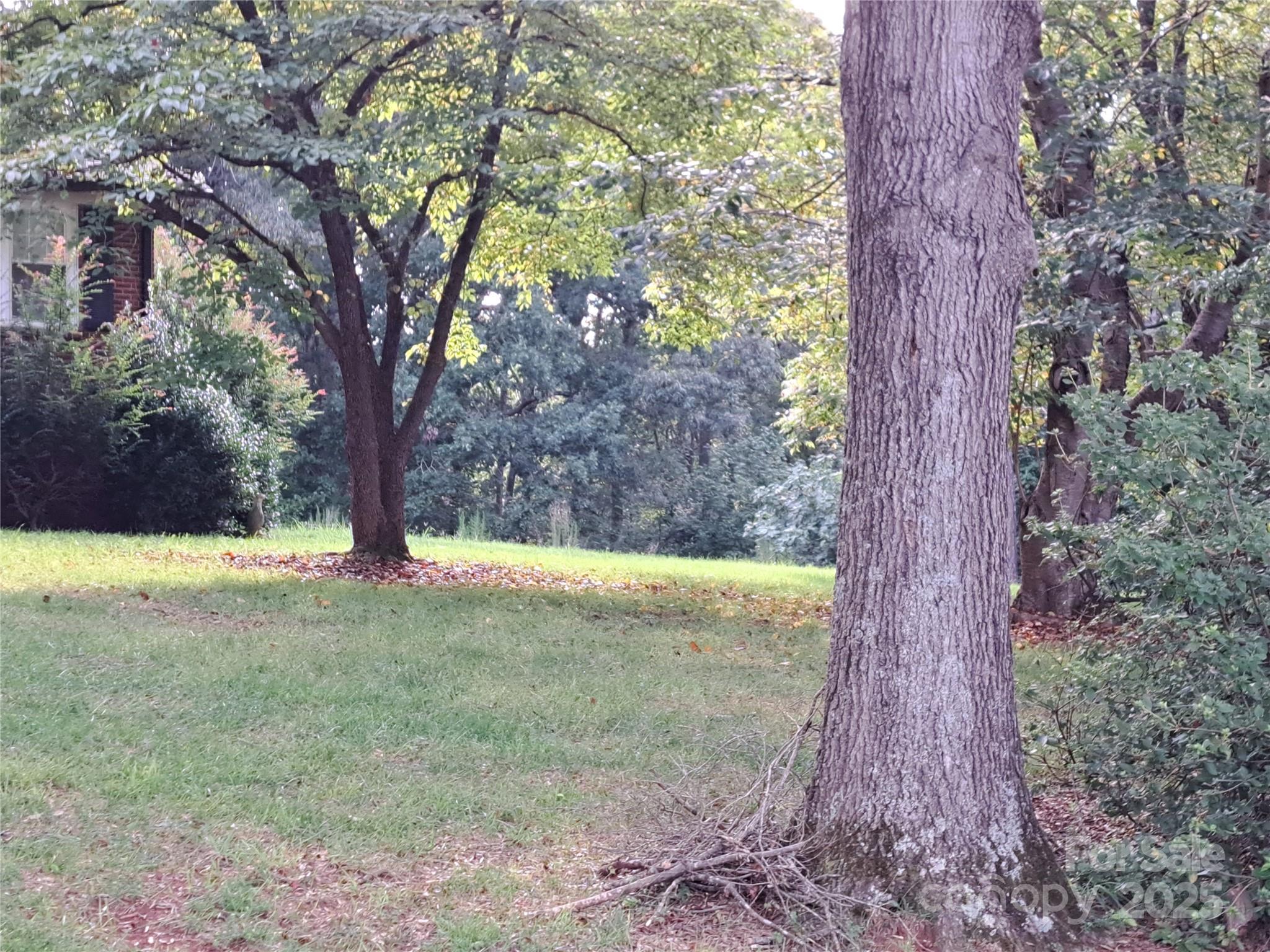 123 Softwind Lane Concord NC 28025