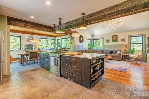 10 Hillendale Road Asheville NC 28805