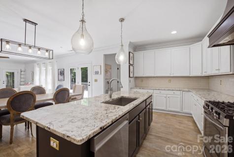 221 Logan Crossing Drive Davidson NC 28036
