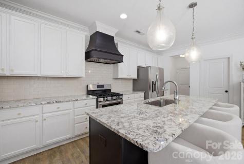 221 Logan Crossing Drive Davidson NC 28036
