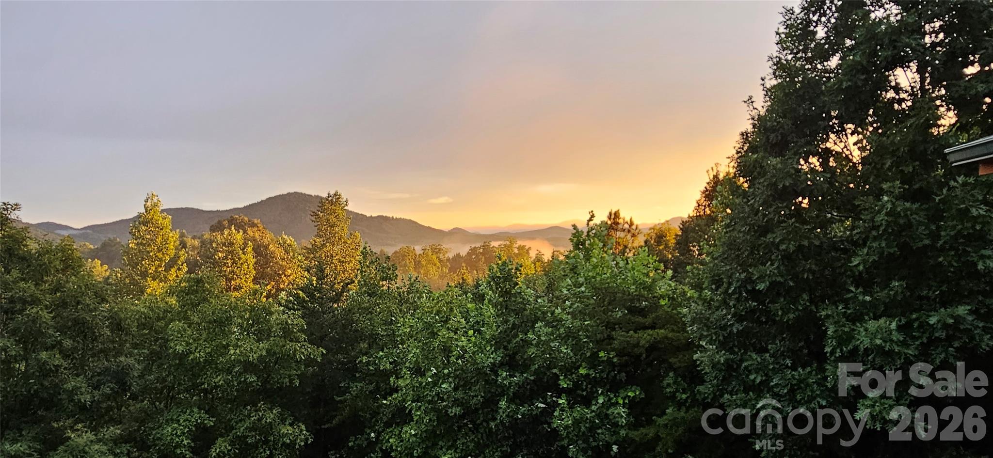 53 Osprey Lane Nebo NC 28761