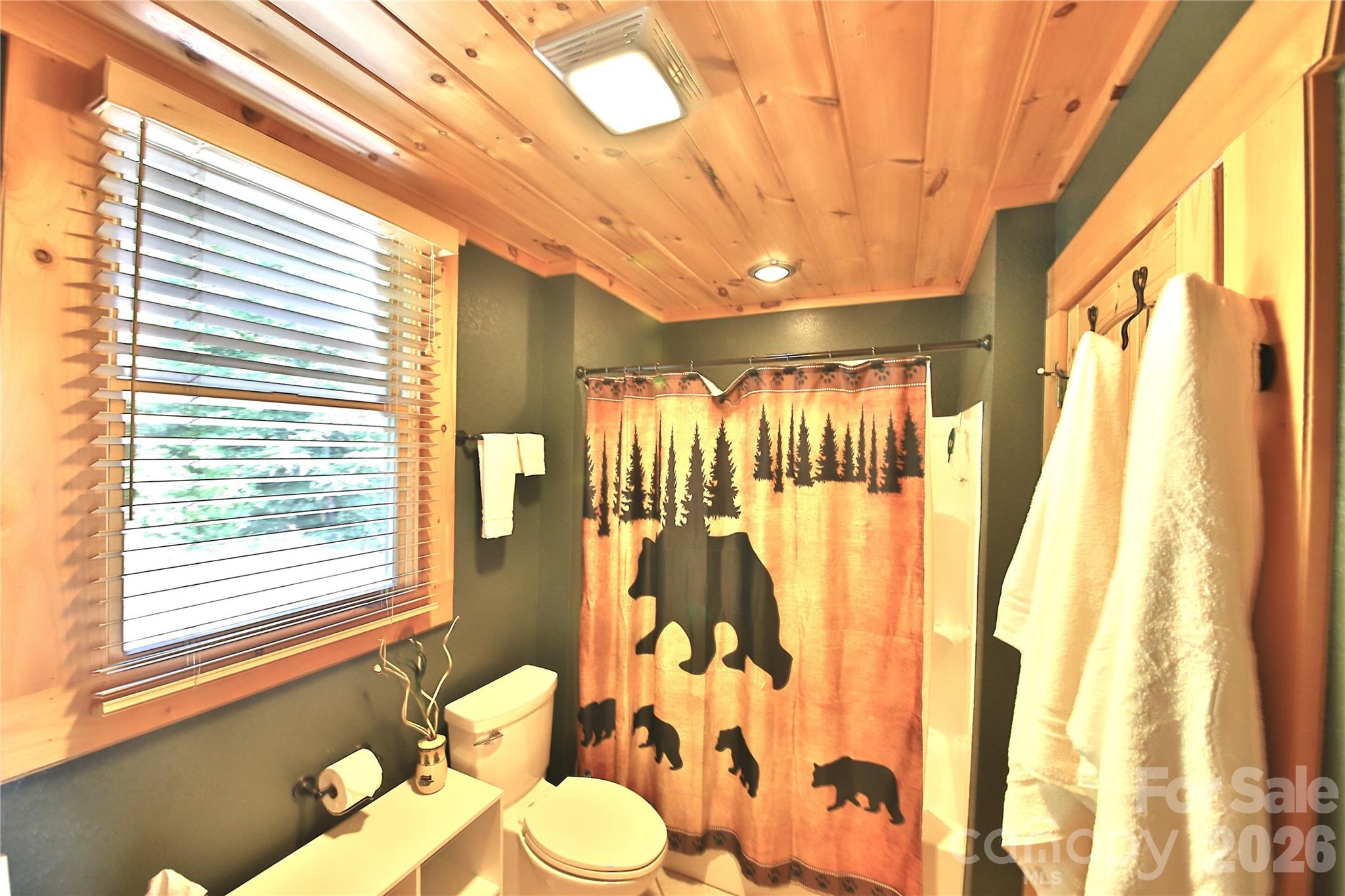 53 Osprey Lane Nebo NC 28761