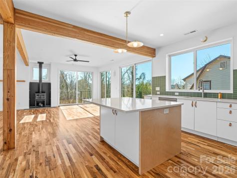 171 Houston Place Asheville NC 28801