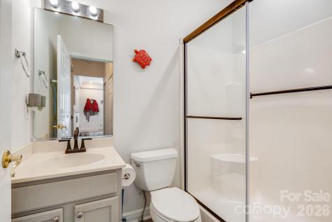 29 Little Cedar Court Asheville NC 28805