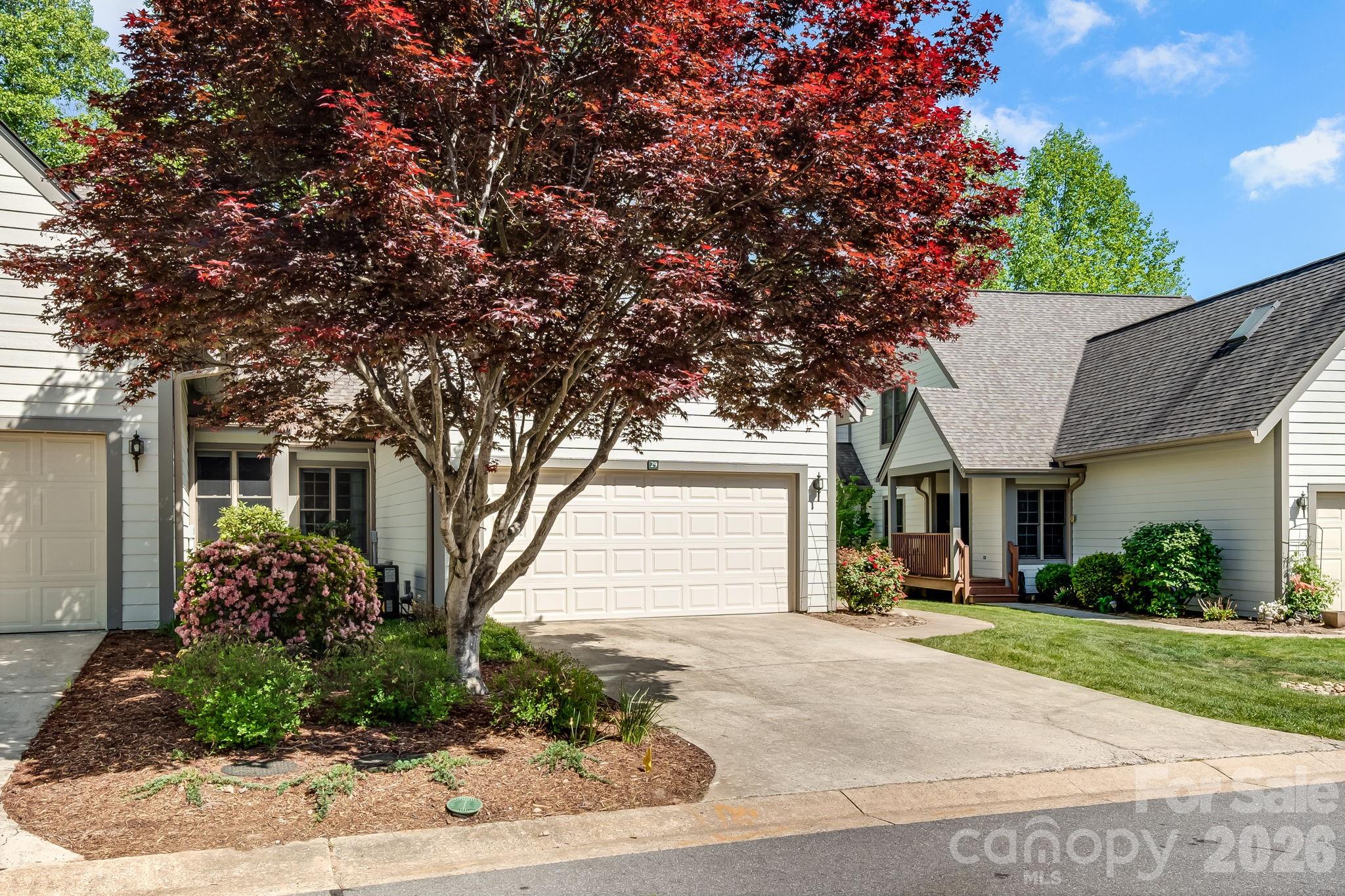 29 Little Cedar Court Asheville NC 28805