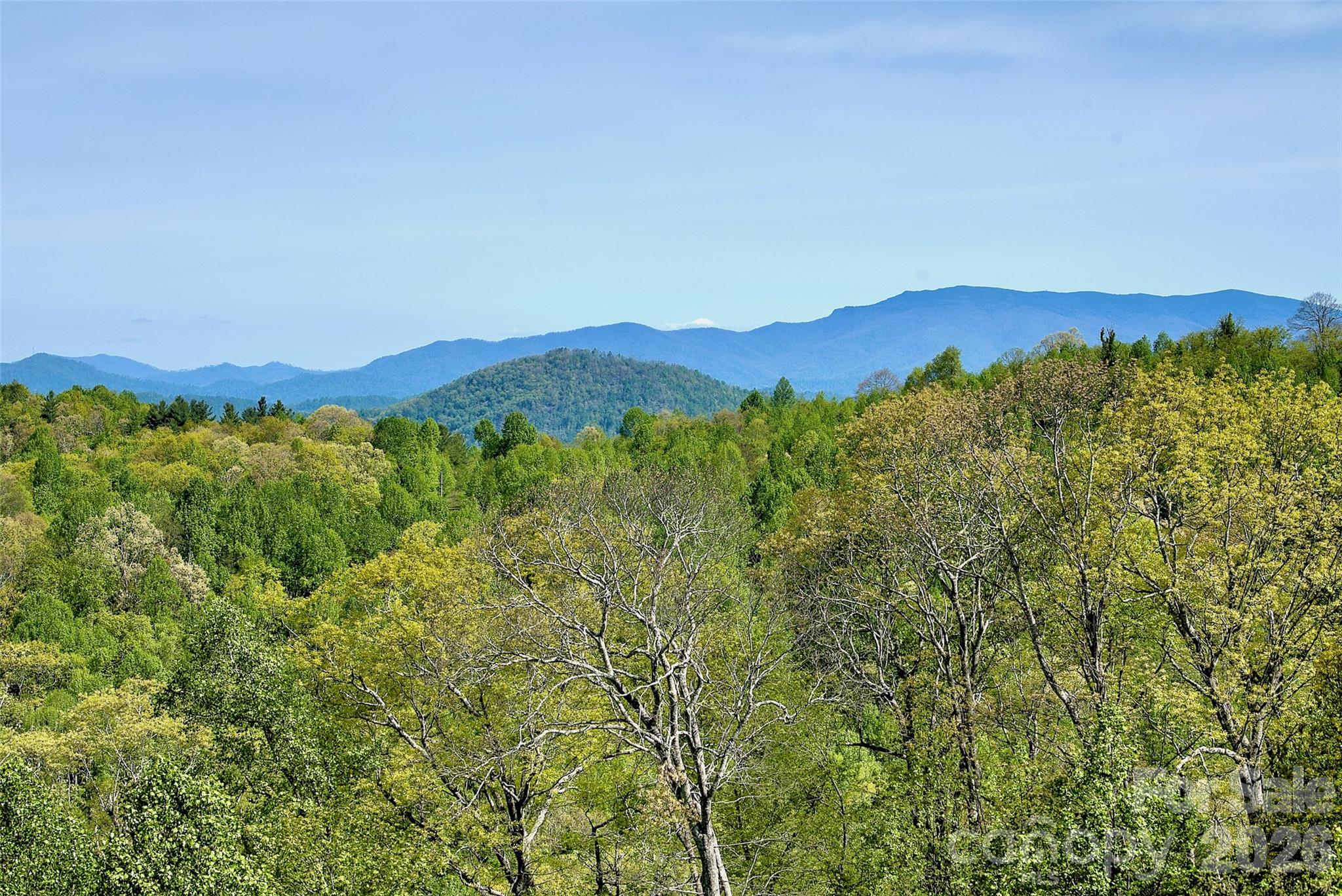 551 Carvers Knob Road Spruce Pine NC 28777