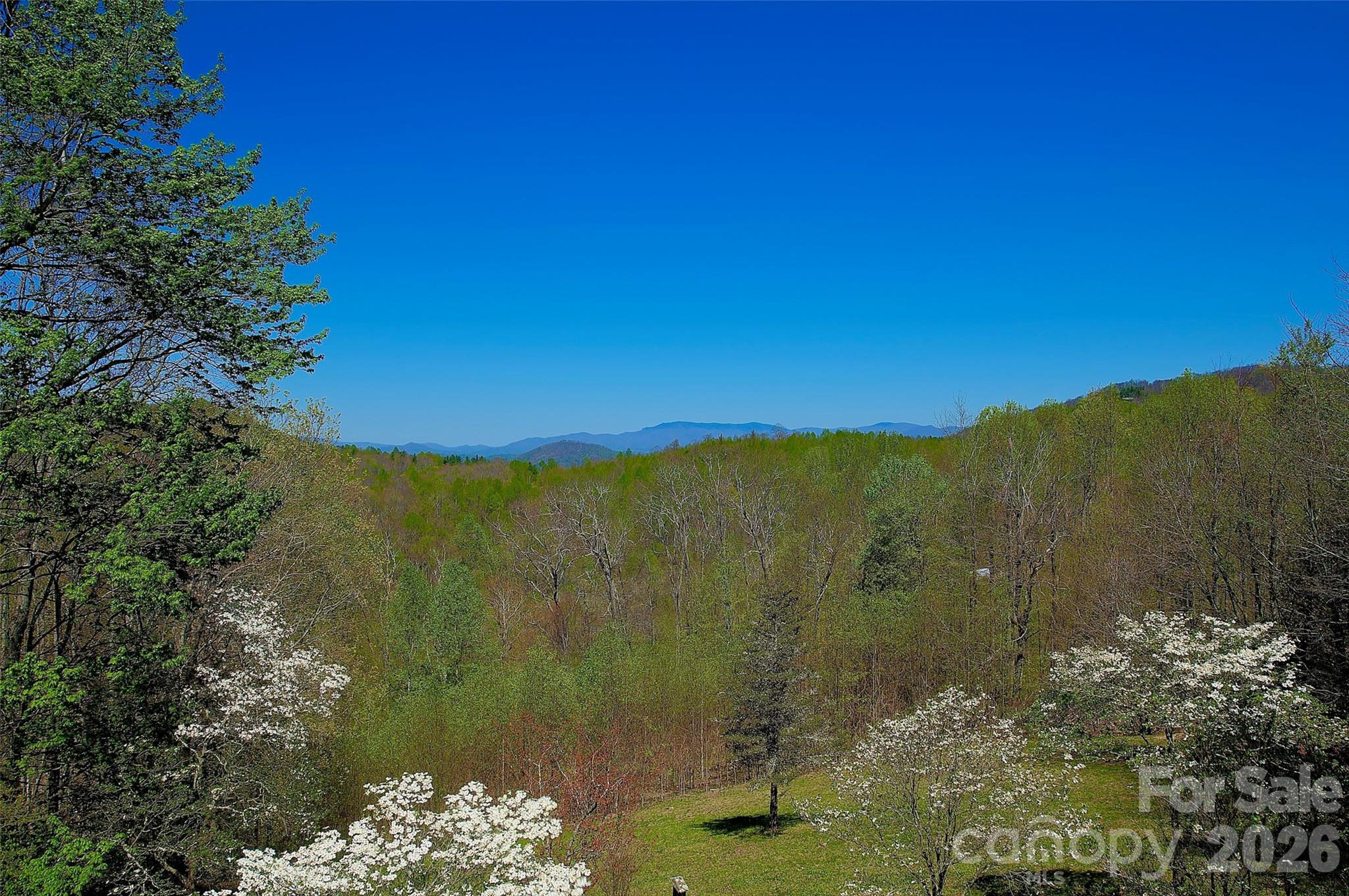 551 Carvers Knob Road Spruce Pine NC 28777