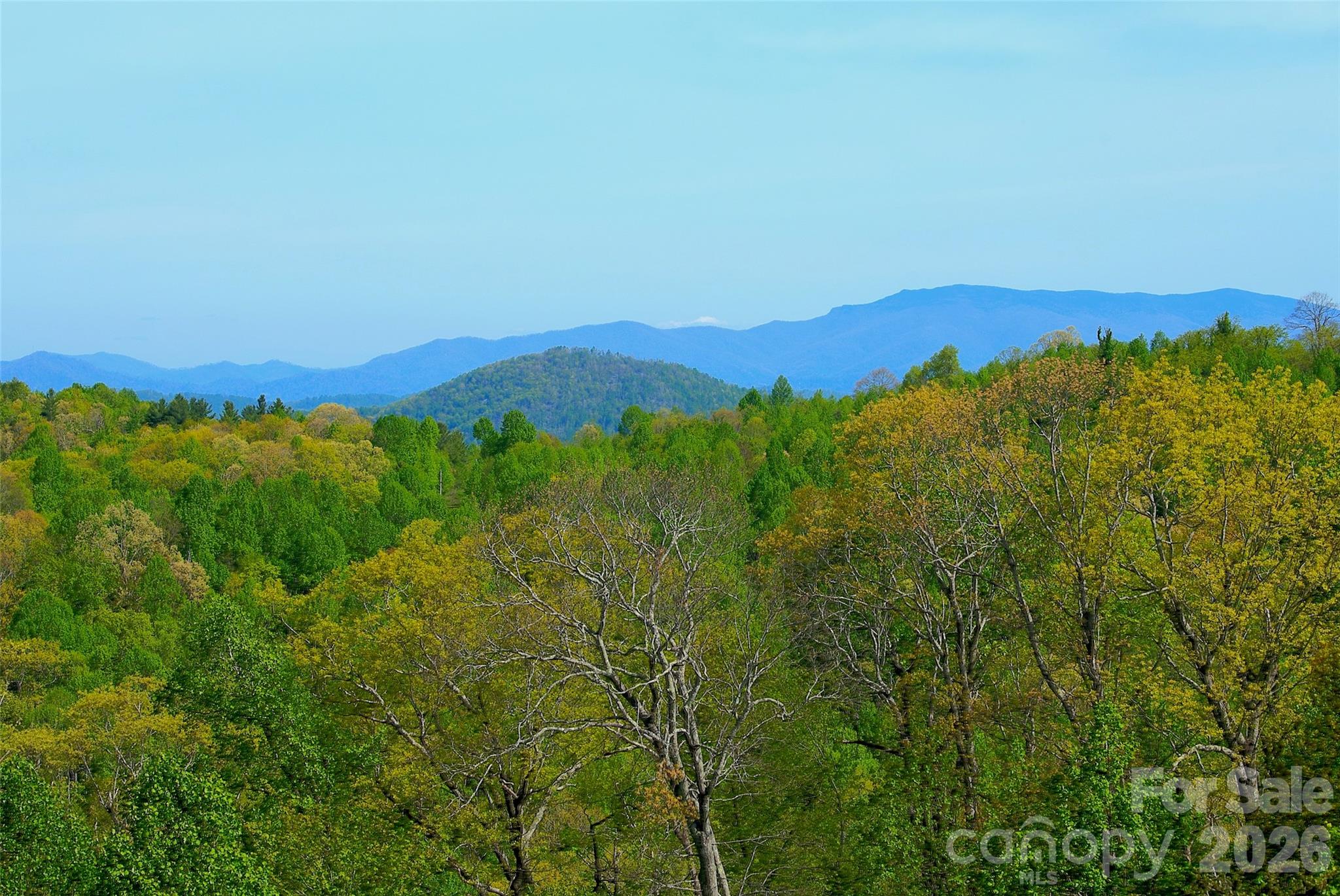 551 Carvers Knob Road Spruce Pine NC 28777