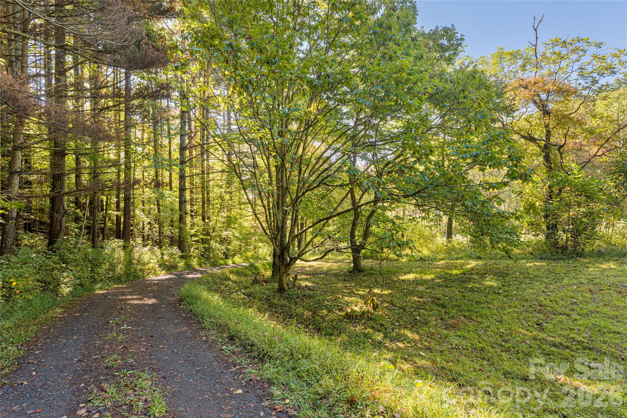 360 Banjo Branch Road Burnsville NC 28714