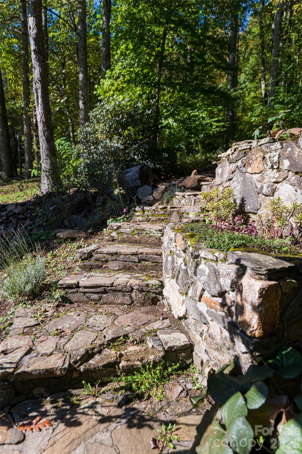 360 Banjo Branch Road Burnsville NC 28714