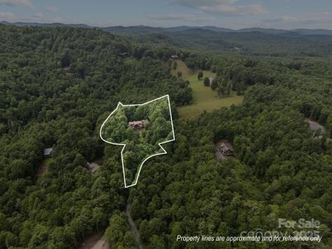 266 Lost Mine Trail Brevard NC 28712
