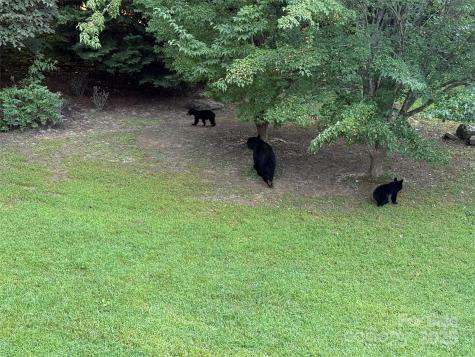 266 Lost Mine Trail Brevard NC 28712