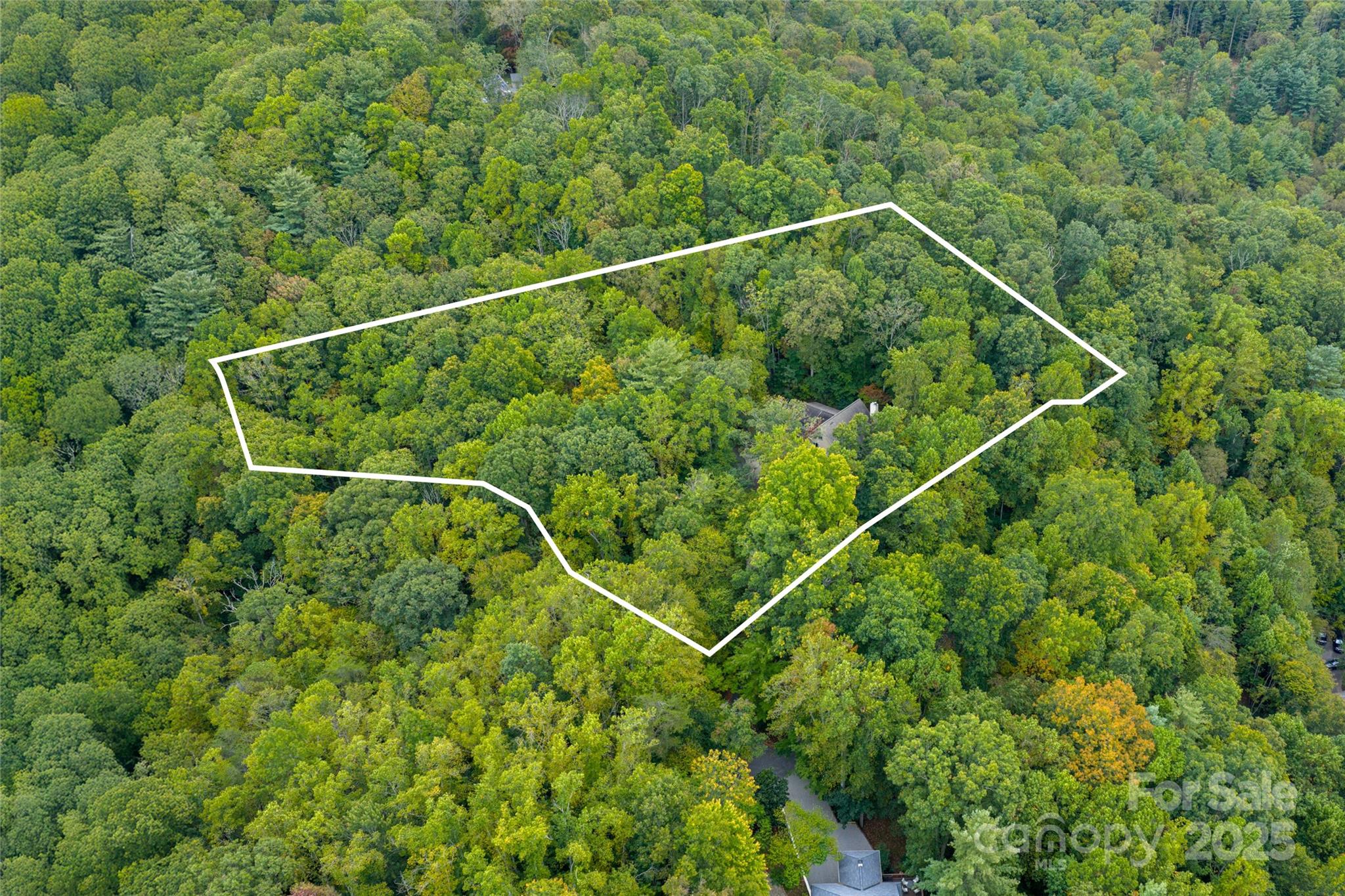 116 Hawk Ridge Asheville NC 28804