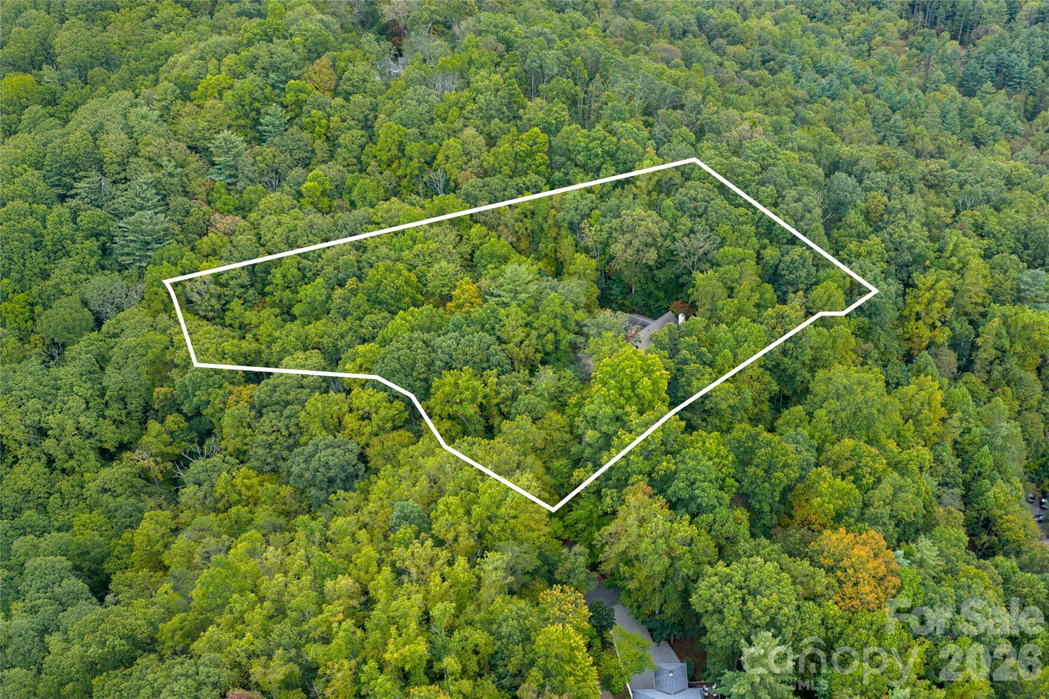 116 Hawk Ridge Asheville NC 28804