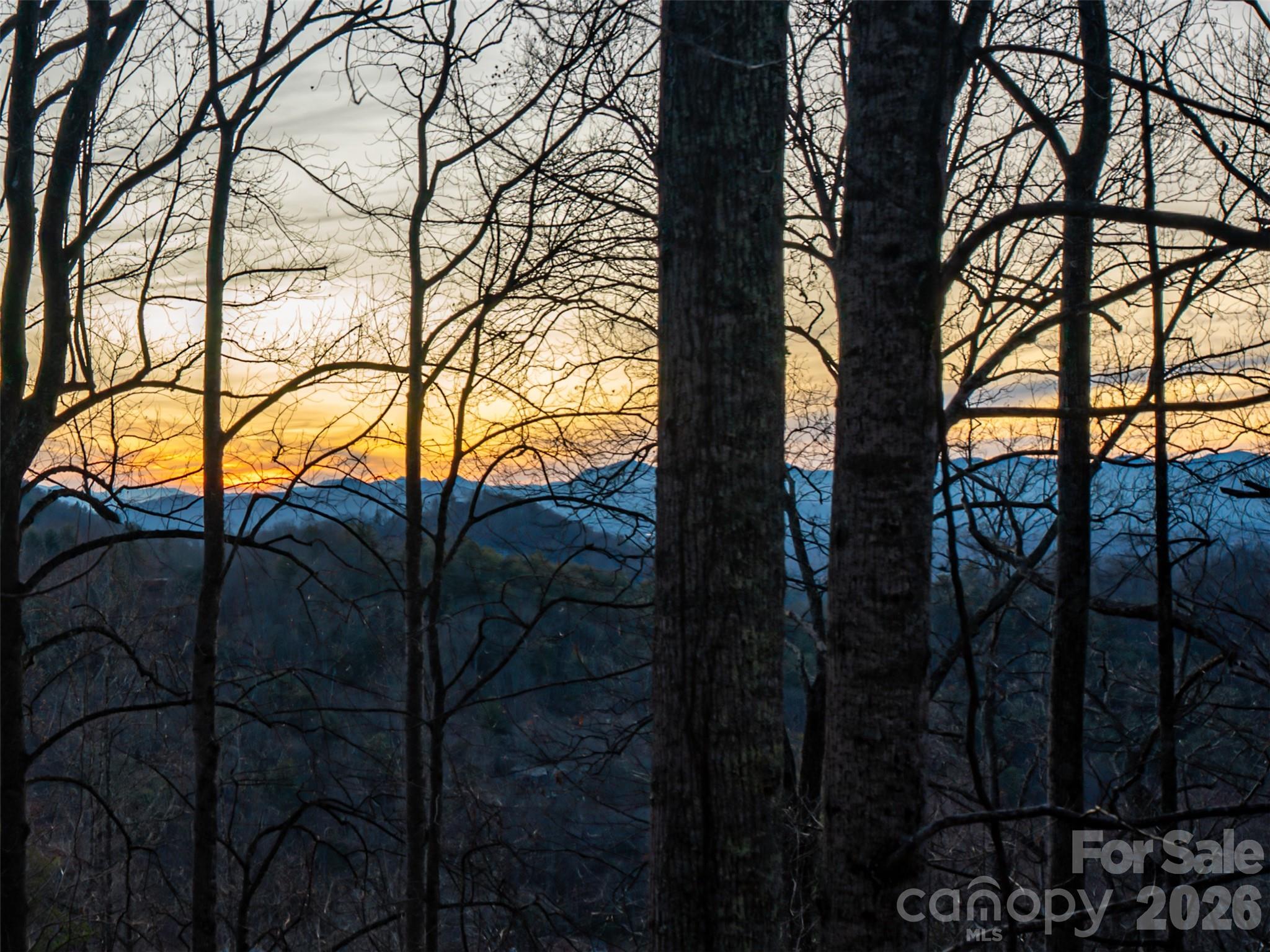 116 Hawk Ridge Asheville NC 28804