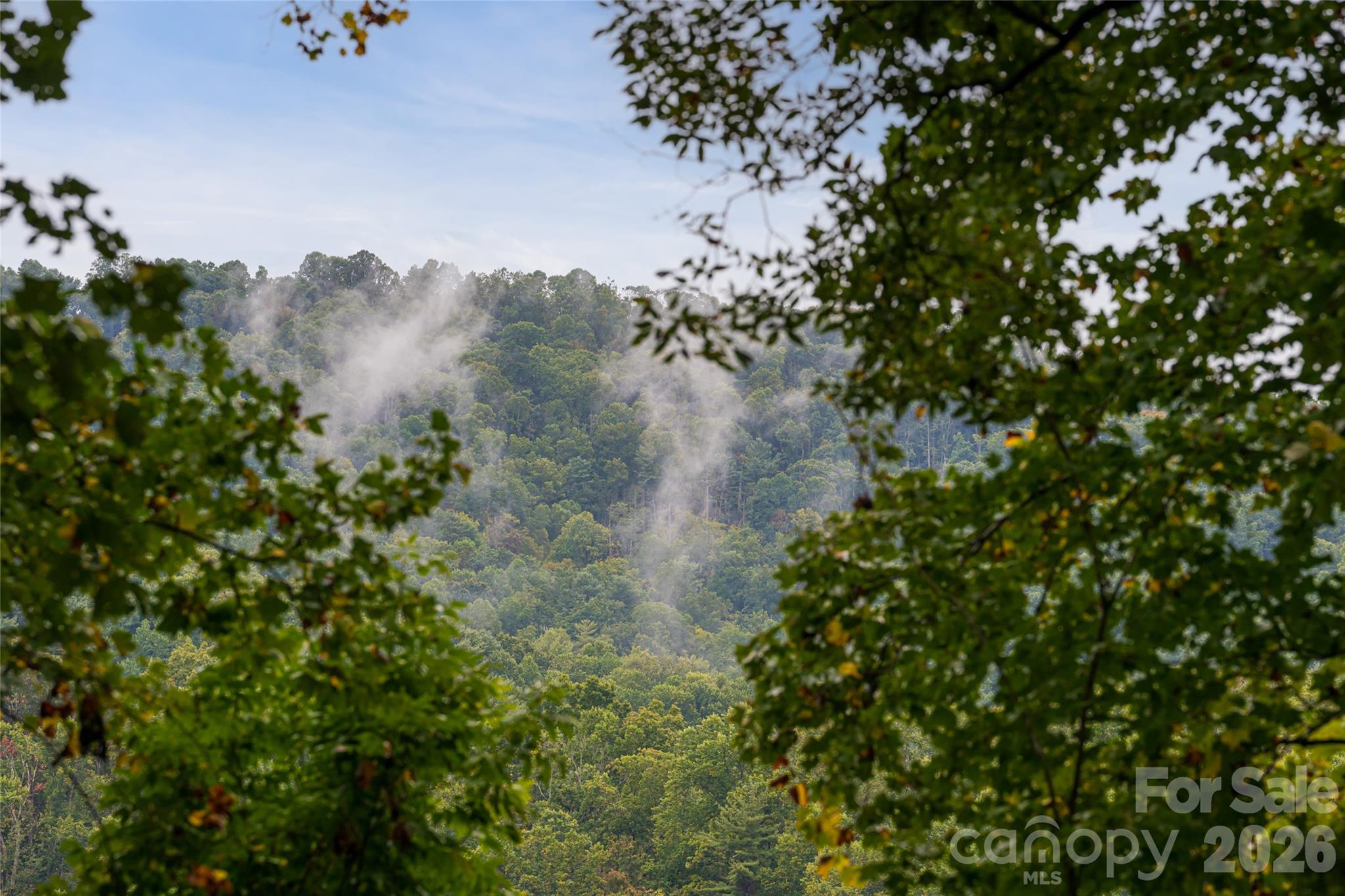 116 Hawk Ridge Asheville NC 28804