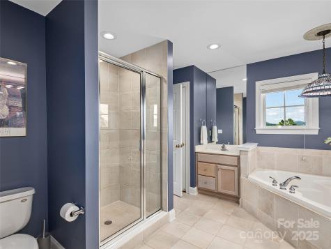 206 Leucothoe Lane Asheville NC 28803