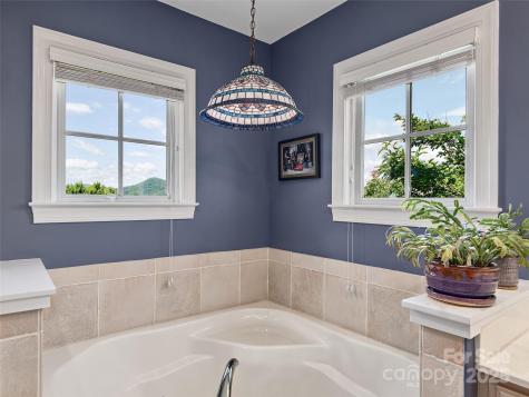 206 Leucothoe Lane Asheville NC 28803