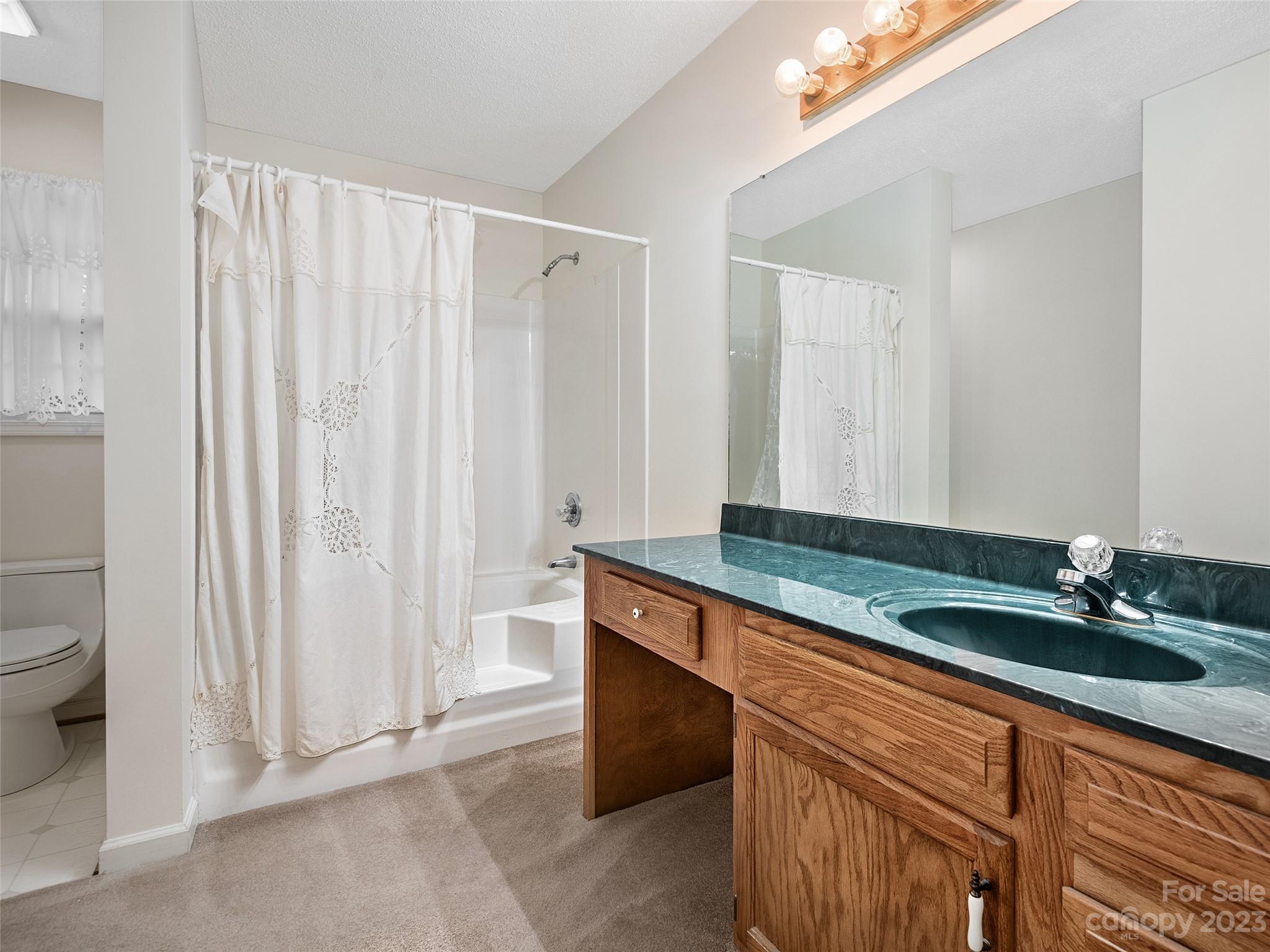 24 Forest Knoll Drive Weaverville NC 28787