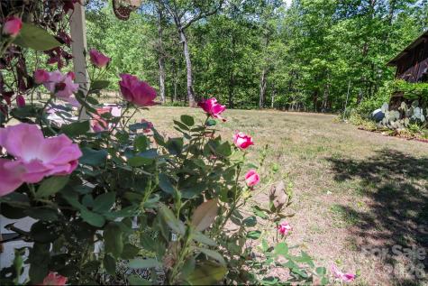 283 Constant Lane Columbus NC 28722
