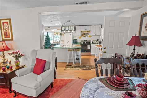 283 Constant Lane Columbus NC 28722