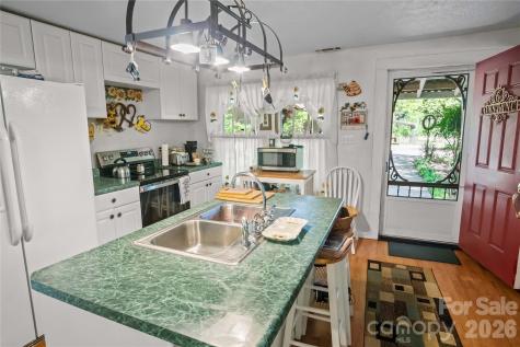 283 Constant Lane Columbus NC 28722