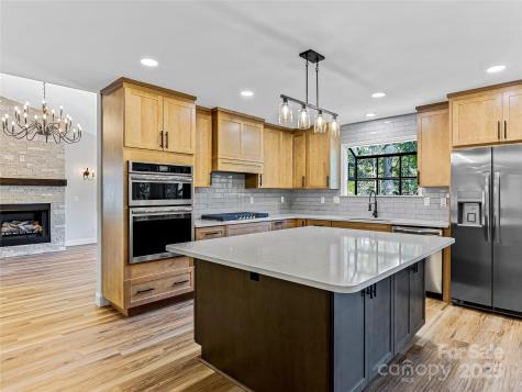 15 Josie Lane Asheville NC 28804