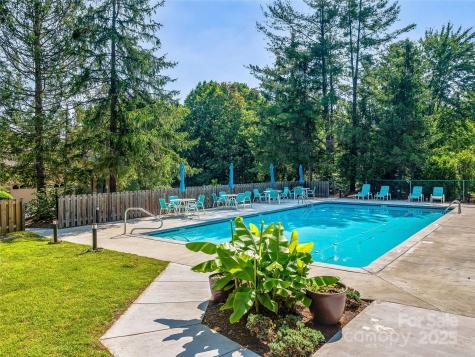 15 Josie Lane Asheville NC 28804