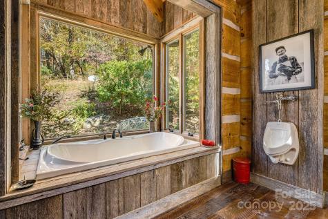 99 Thistle Ridge Canton NC 28716