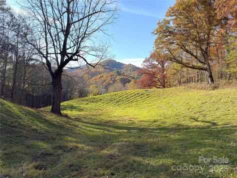 99 Thistle Ridge Canton NC 28716