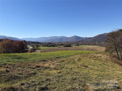 99 Thistle Ridge Canton NC 28716
