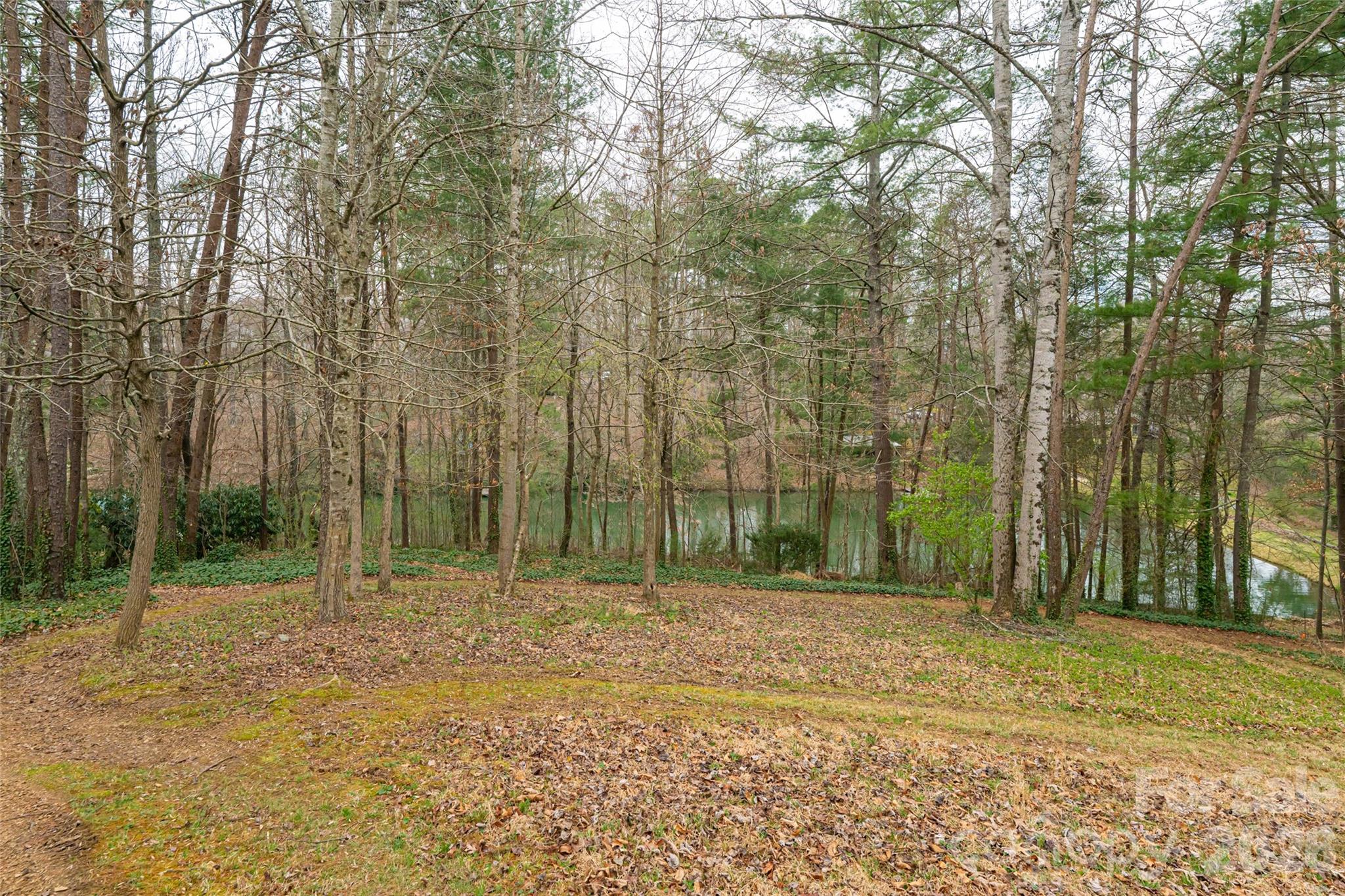 21 Pine Tree Circle Asheville NC 28804