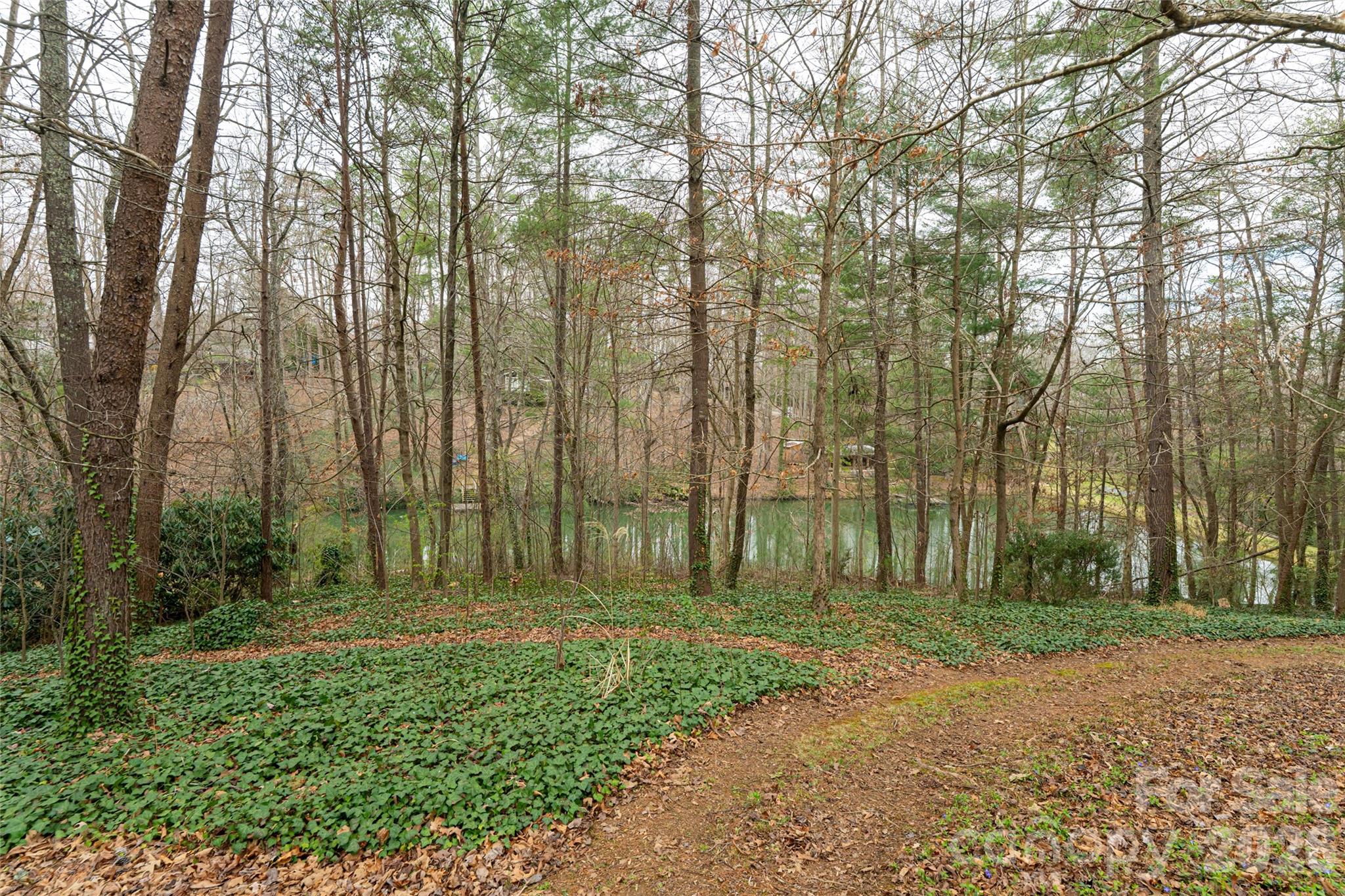 21 Pine Tree Circle Asheville NC 28804