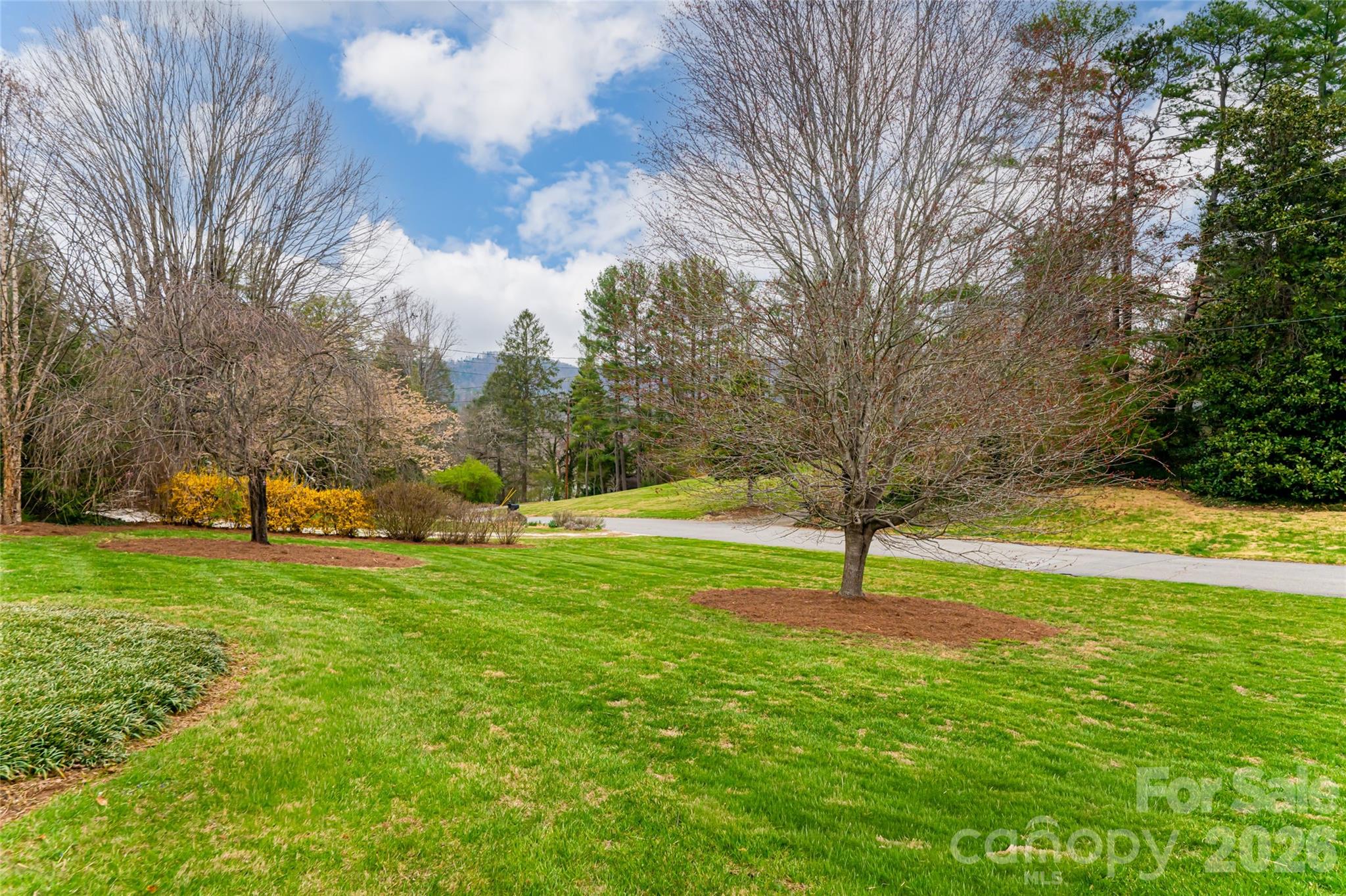 21 Pine Tree Circle Asheville NC 28804