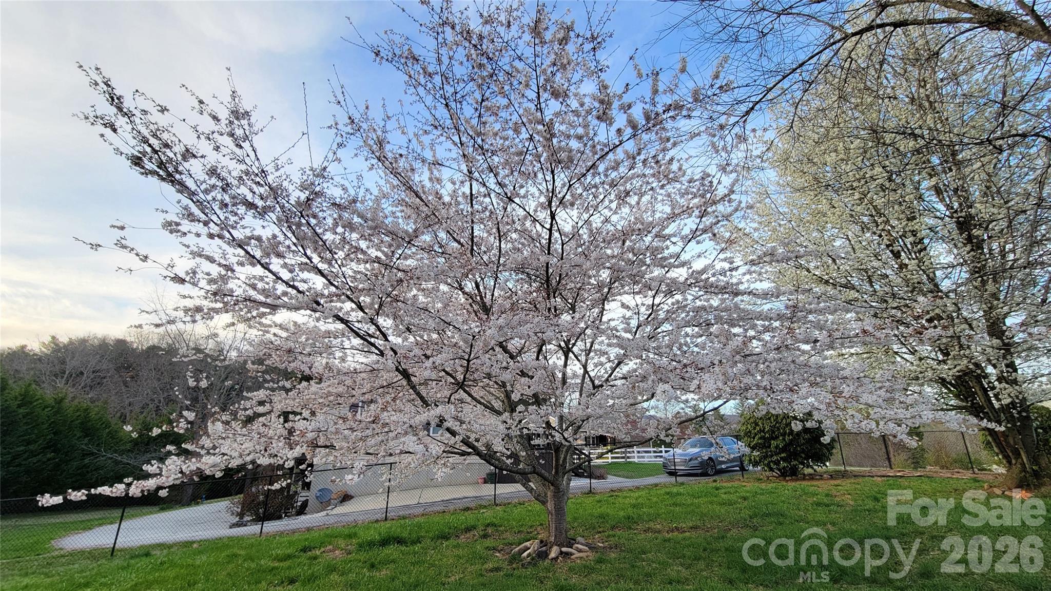 10 Haven Crest Lane Fletcher NC 28732