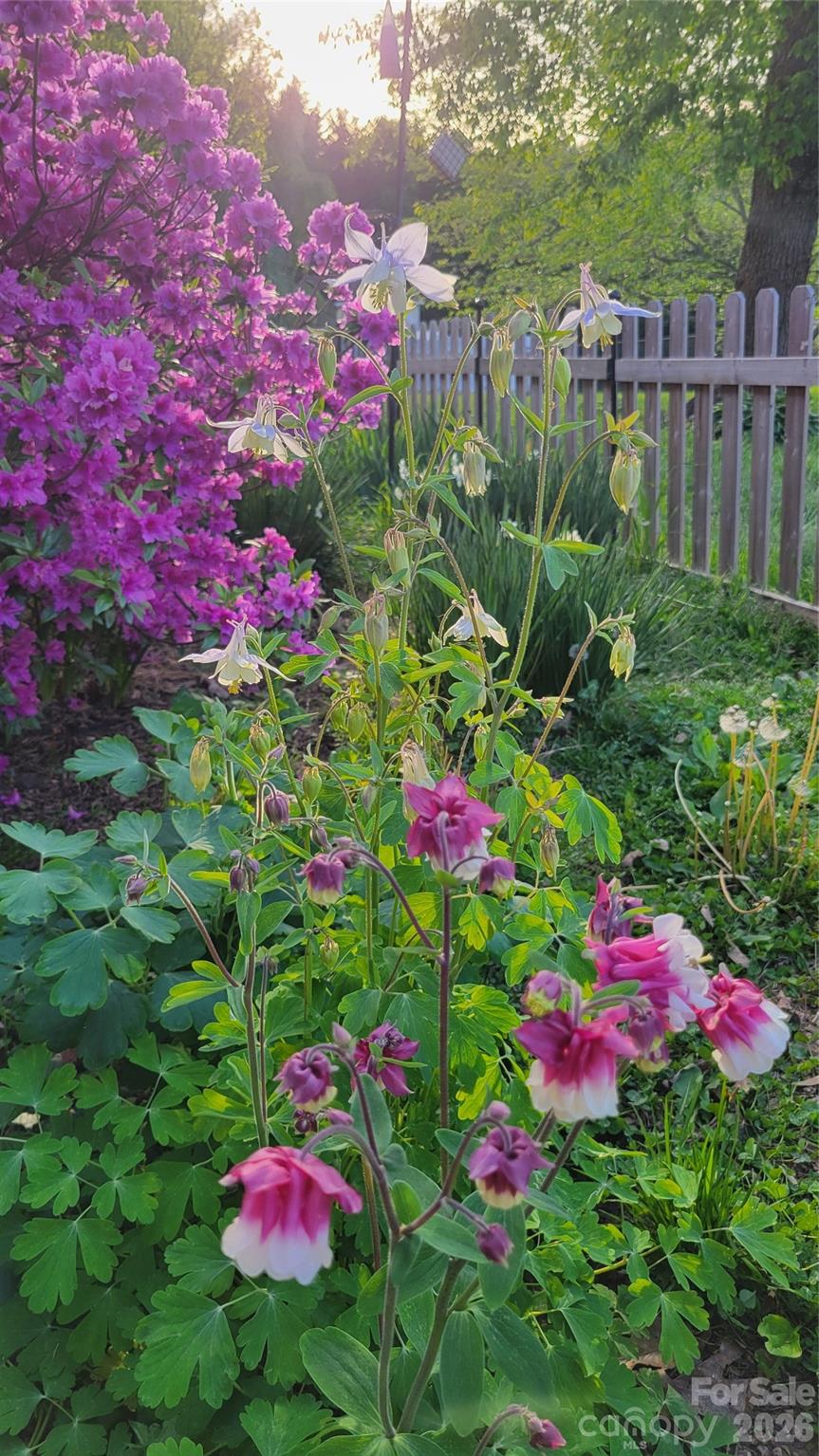 10 Haven Crest Lane Fletcher NC 28732