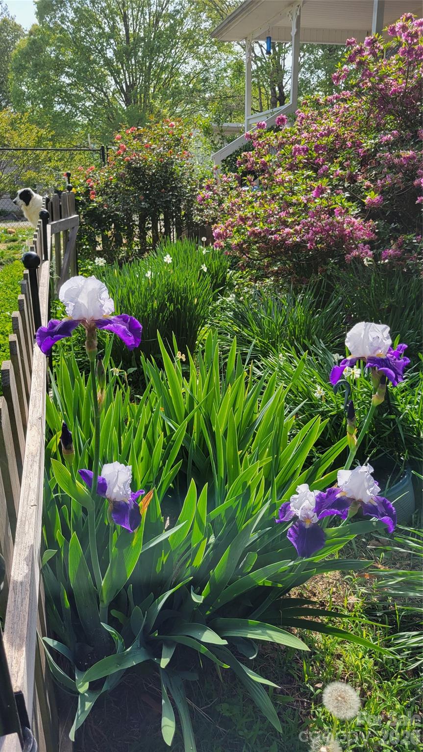 10 Haven Crest Lane Fletcher NC 28732